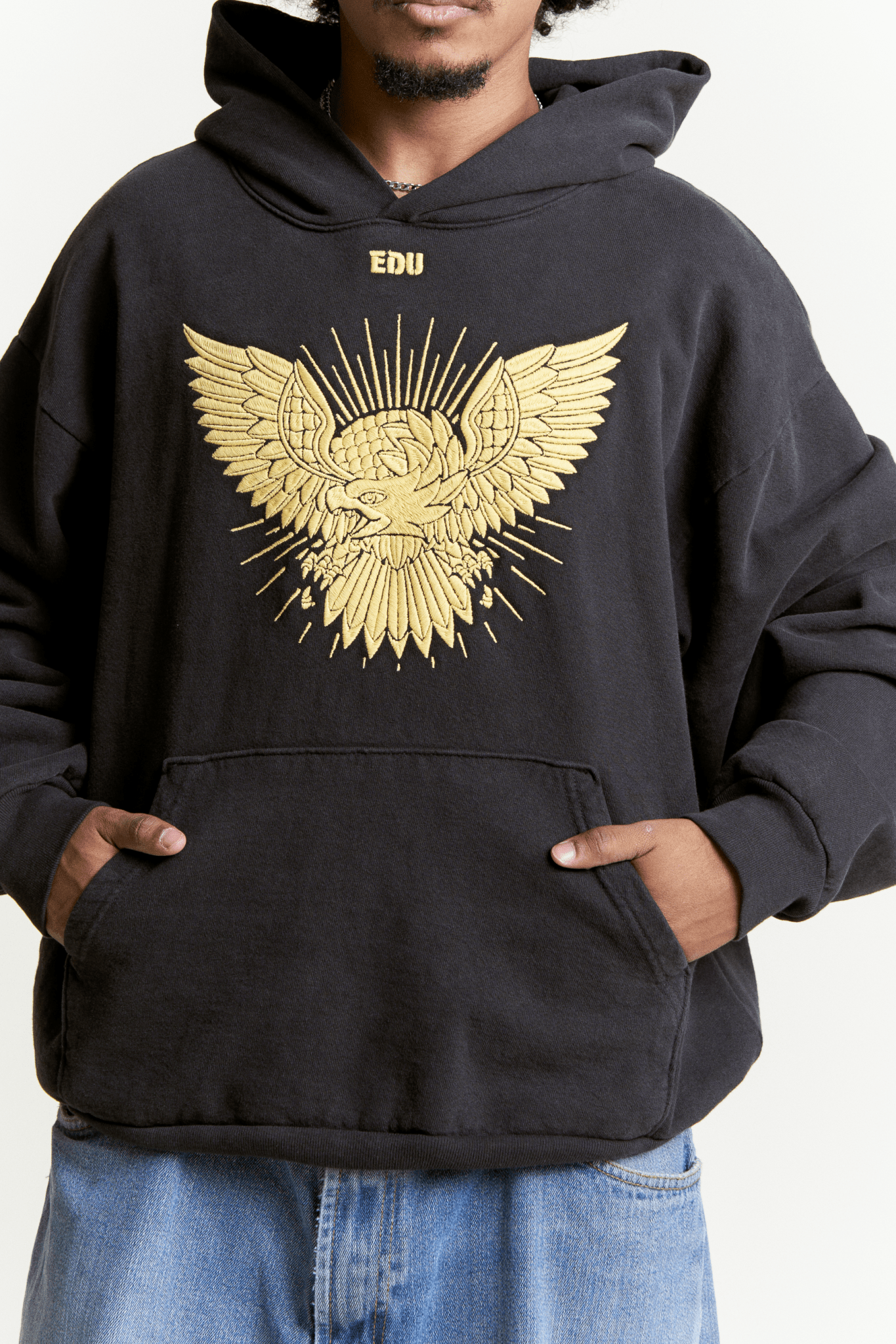Golden Eagle Age USA Hoodie on male model - Front View