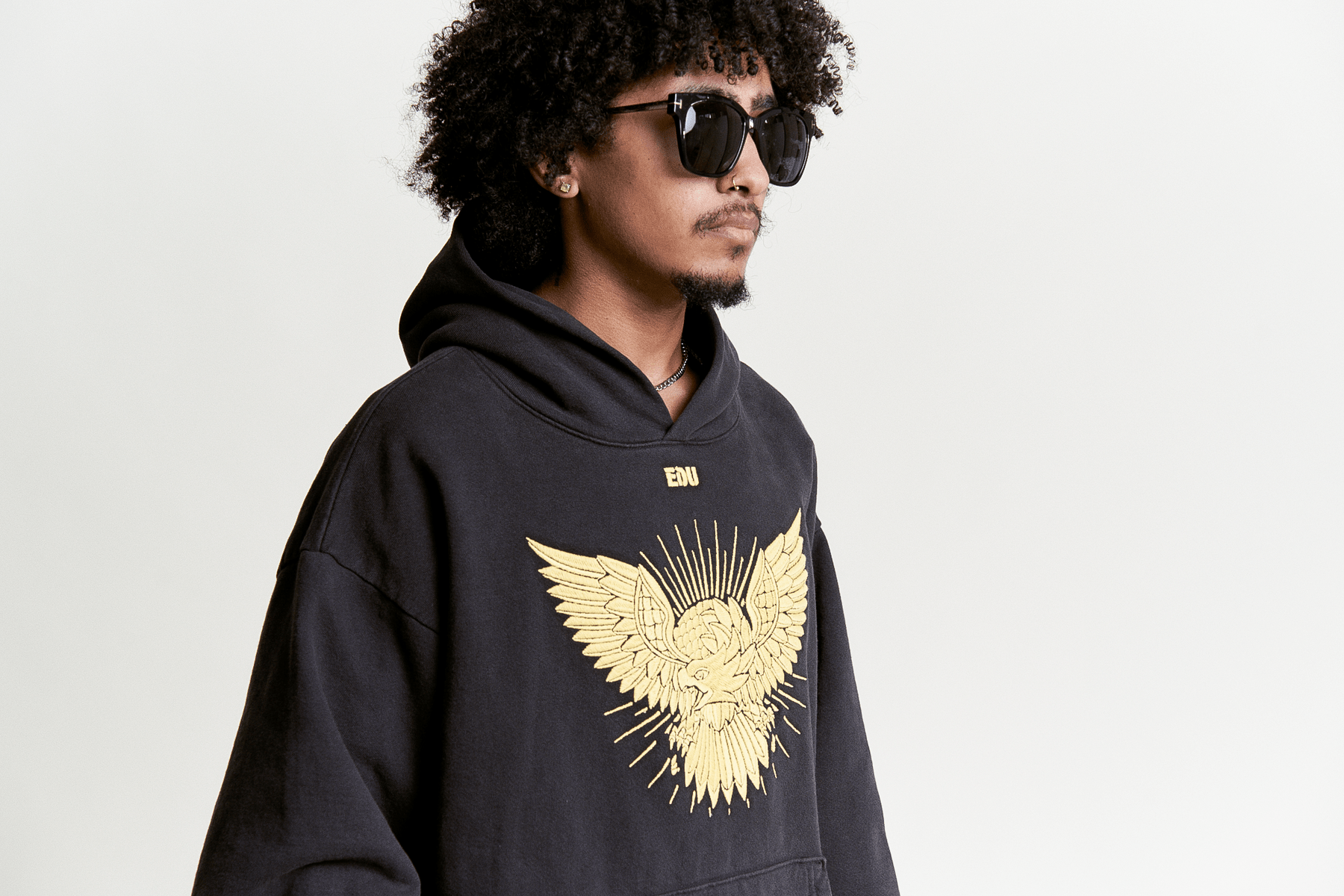 Golden Eagle Age USA Hoodie on male model - detail View