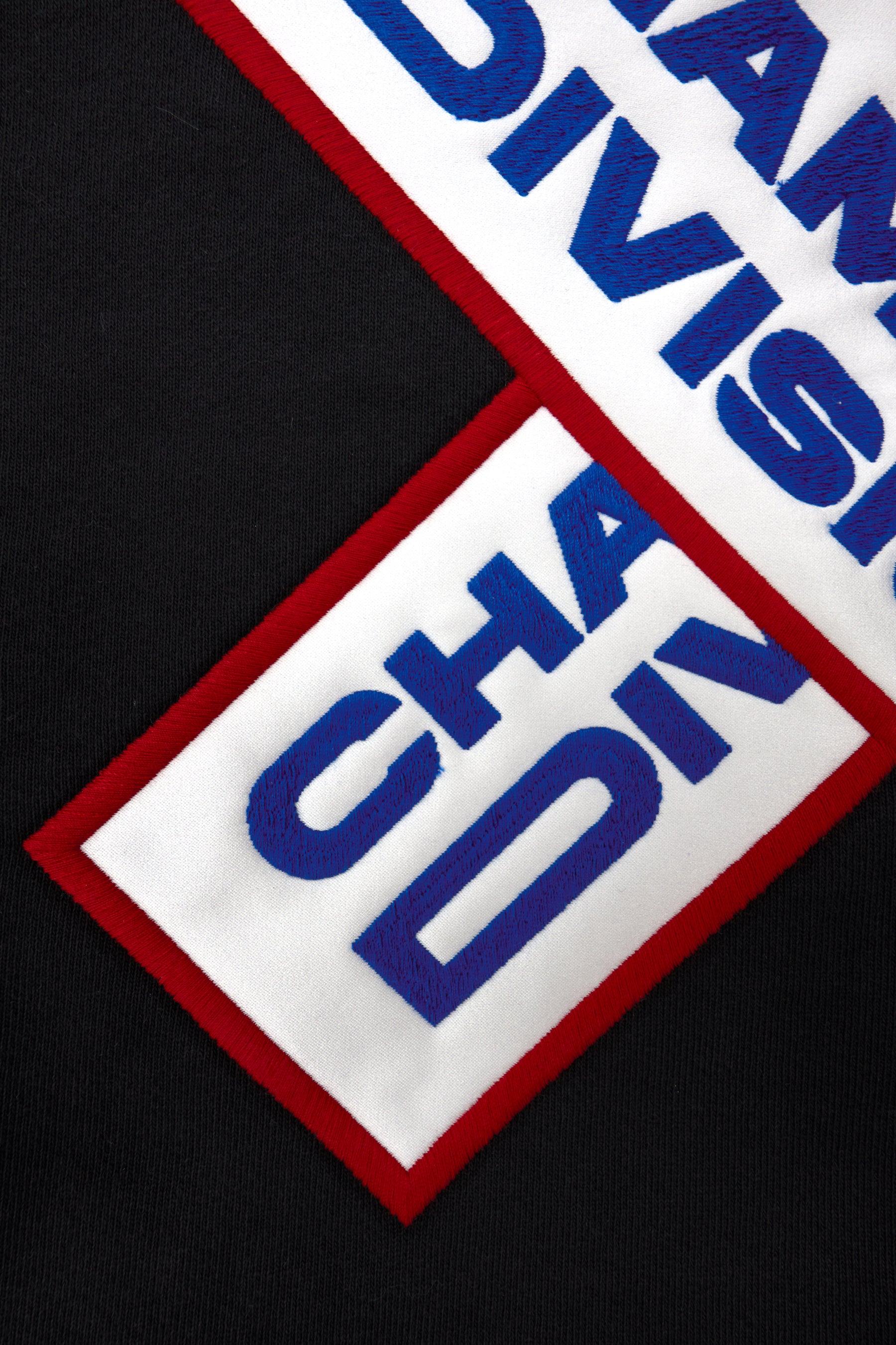Champion Division Hoodie - Detail shot