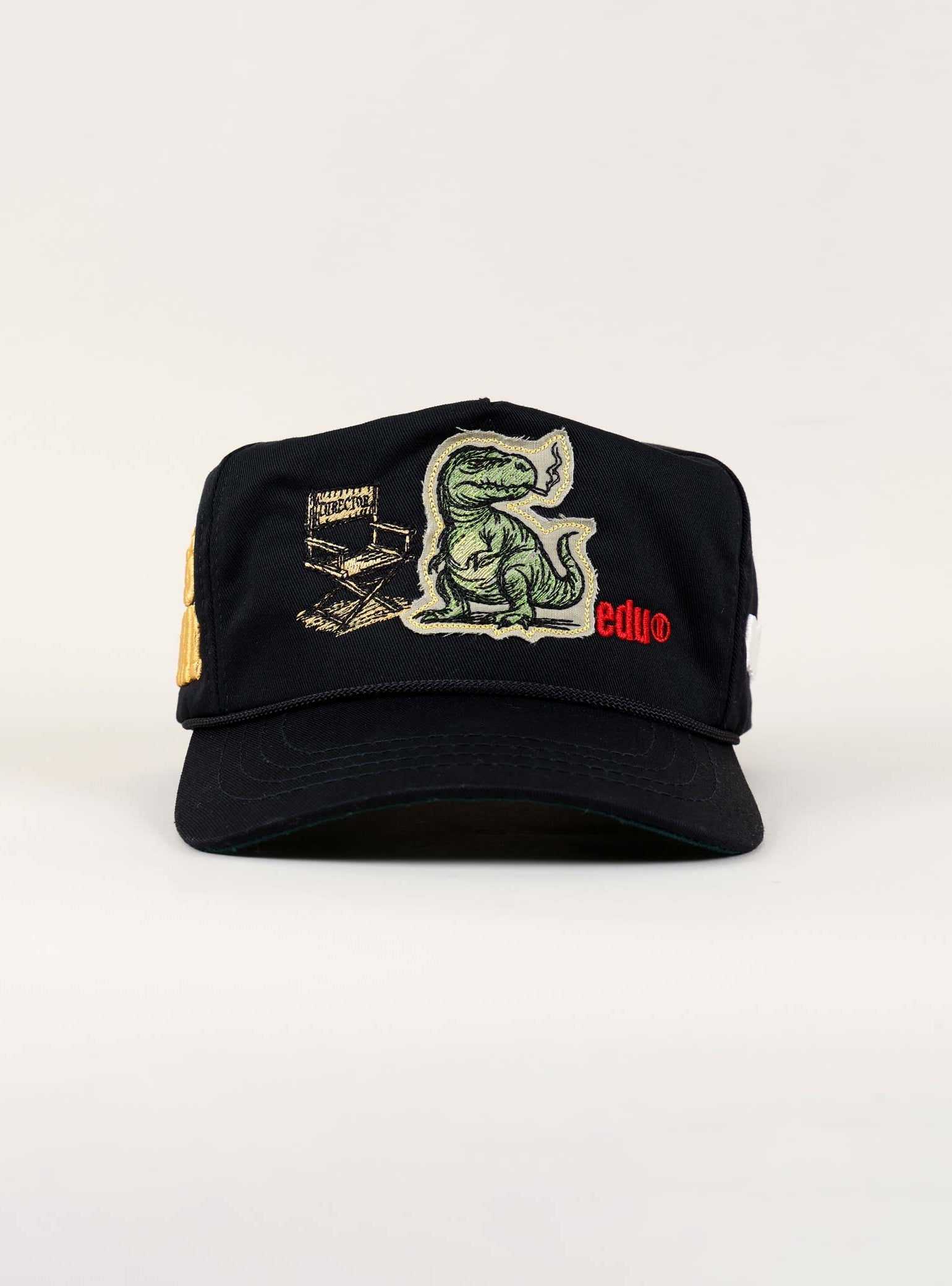 Black cap with dinosaur and educational graphics.