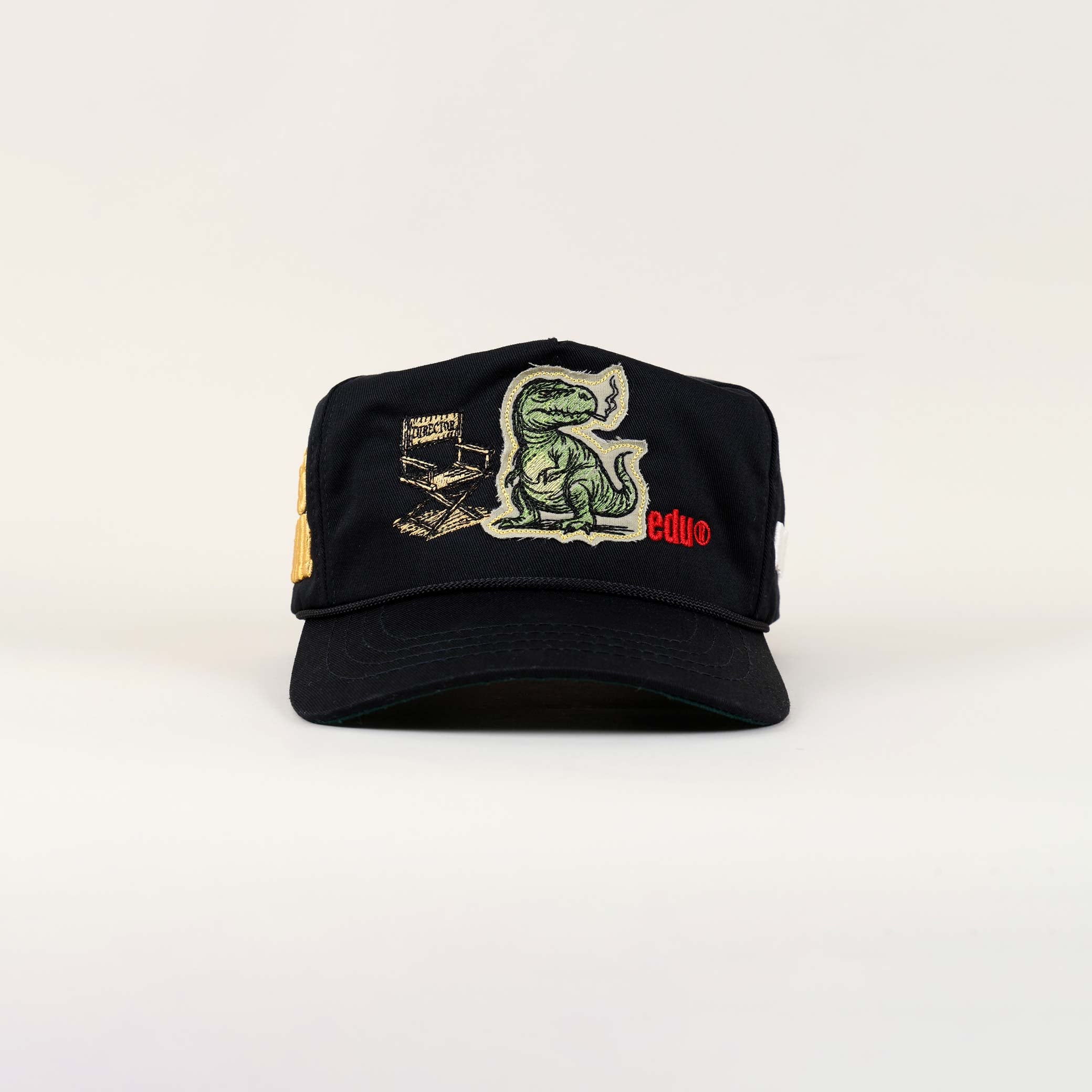 Black cap with dinosaur and educational graphics.