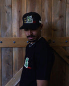 Baseball cap with dinosaur and chair design.